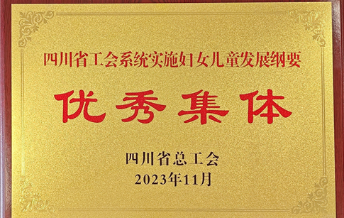 绵投集团工会荣获“四川省工会系统实施妇女儿童发展纲要优秀集体”称号